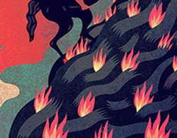 Евро делает ставку на дивергенцию