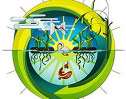 Отскок крипторынка выдохся, дальше возможно 40% снижение