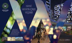 Типичные ошибки при оформлении микрозаймов в МФО