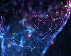 Экс-реабилитолог «Зенита» Бурова о психологах: «Еще недавно в России думали: «Сам, что ли, справиться не можешь?» До «Фиорентины» я тоже была скептична, сейчас отношение поменялось»