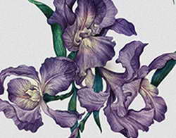 Крипторынок взял паузу, выдавая хрупкость тяги в риски