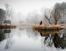 Еще две футболистки и сотрудница сборной Ирана решили вернуться в страну из Австралии. В Иране это назвали «очередным провалом Трампа»