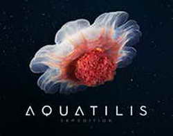 Лариса Долина. Досье