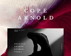 Иену спасли интервенции