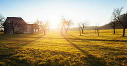 Неймар 24 часа играл в онлайн-покер с пятницы по воскресенье и минимум 4 раза выбыл с турнира. Он пропустил матч «Сантоса» «для распределения нагрузки»